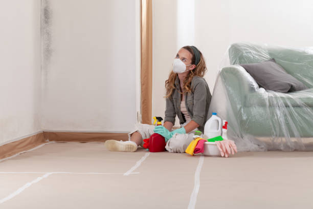 Trusted Basement Mold Remediation service in Austin, TX - Cheap Mold Removal